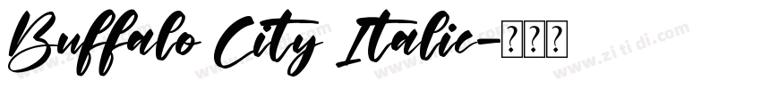 Buffalo City Italic字体转换